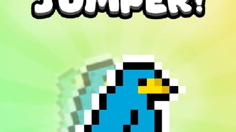 Bird Jumper
