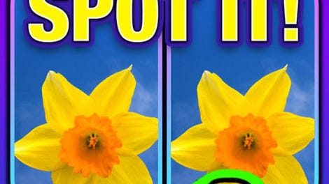 What's the Difference? Spot It