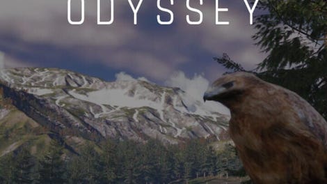 Bird's Eye Odyssey