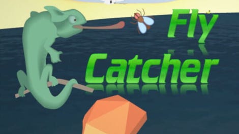 Flycatcher