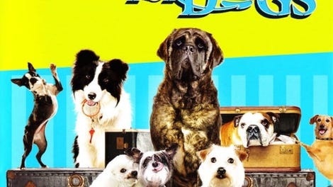 Hotel for Dogs
