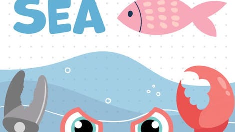Battle Sea