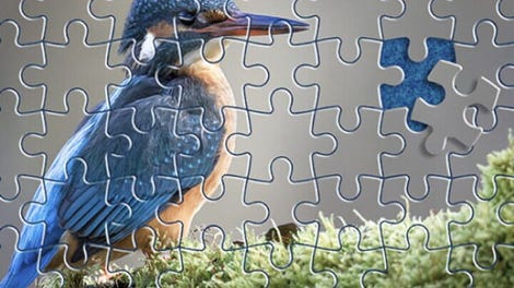 Puzzle Go