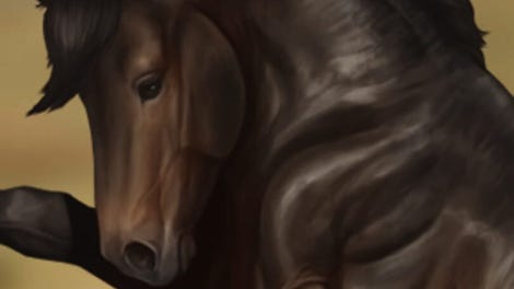Horse Reality