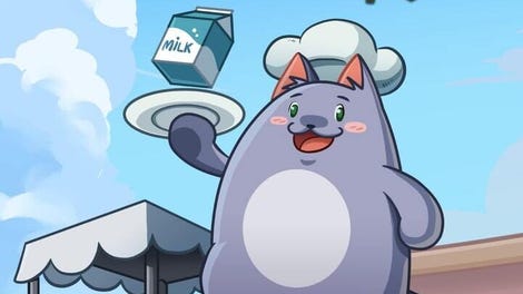 Kiting Cat