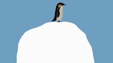 The Emperor Penguin Keita