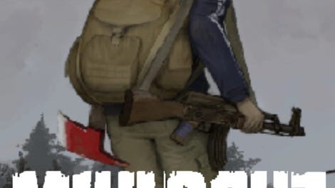 Mini DayZ
