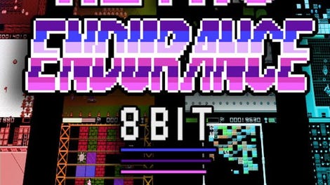Retro Endurance 8bit