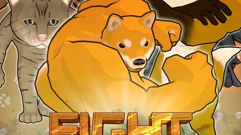 Fight of Animals