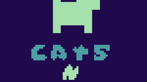 Cats n Wires