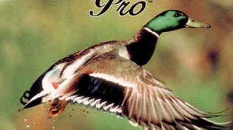 Duck Hunter Pro