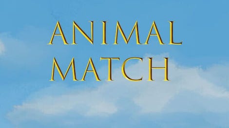 Animal Match