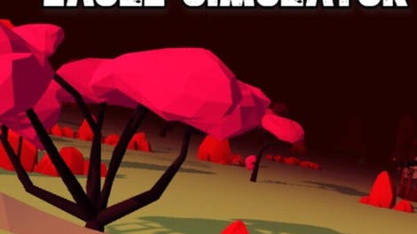 Eagle Simulator