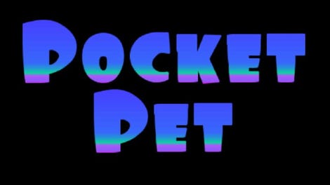 Pocket Pet
