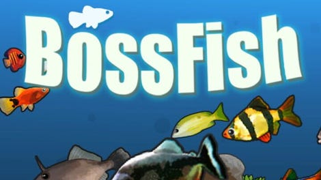 Bossfish
