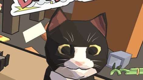 Catlateral Damage