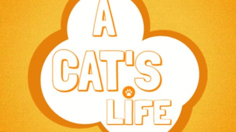 A Cat's Life
