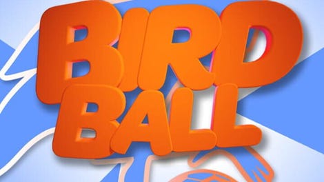 Bird Ball