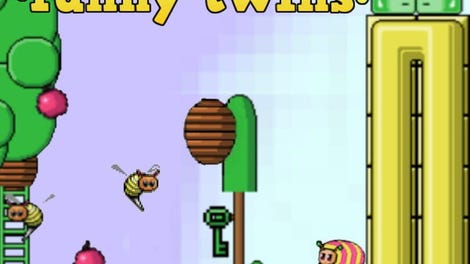 Butterfly 3: Funny Twins