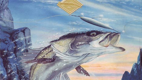 Sea Bass Fishing