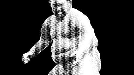 Sumo Stuntmen 7