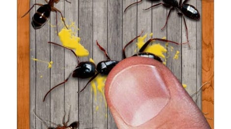 Ant Smasher