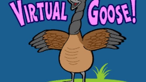 Virtual Goose!