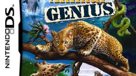 Animal Genius