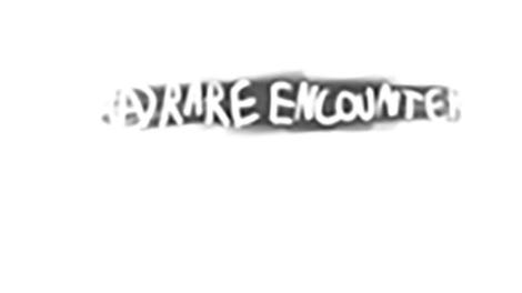 A Rare Encounter