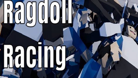 Chat Ragdoll Racing