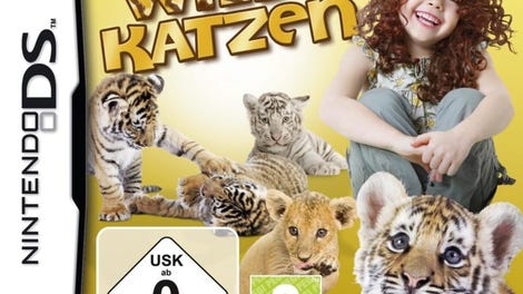 Baby Wild Katzen