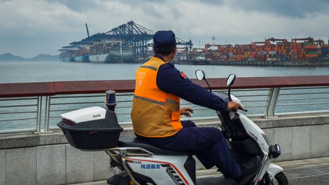 Image for America is the biggest loser in Trump's trade war, OECD says