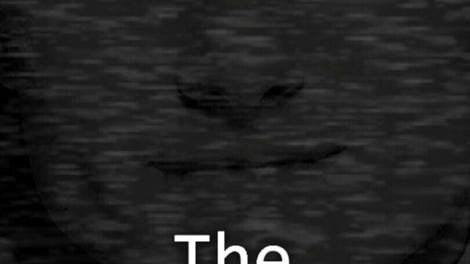 The Whistle