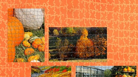 Pixel Puzzles Ultimate: Autumn 2