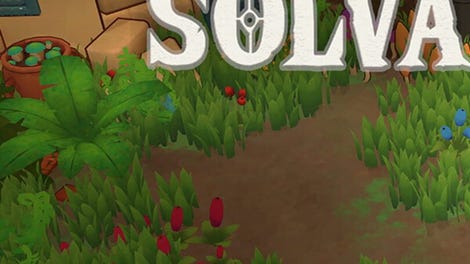 Adapta Solva