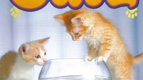 Catz