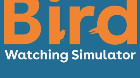 Bird Watching Simulator