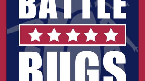 Battle Bugs - Kotaku