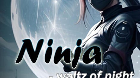 Ninja: Waltz of night