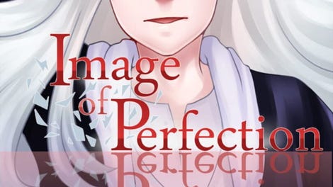 Image of Perfection