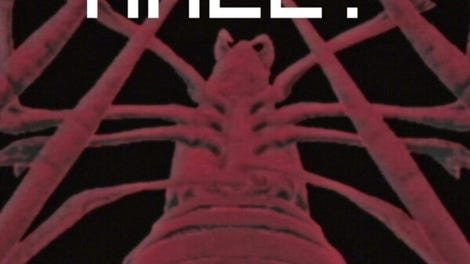 Spider Mall!