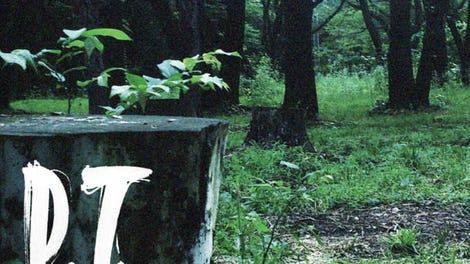 P.T.