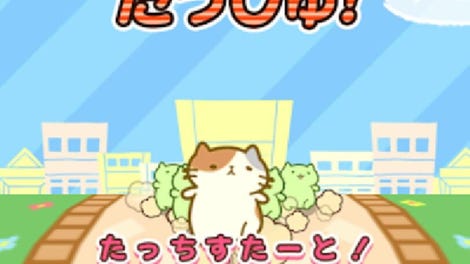 Micchiri Neko Dash!