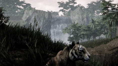 The Savana