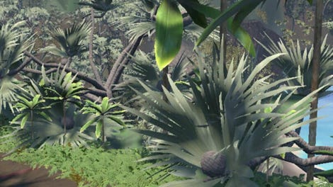 The Kalalau Trail