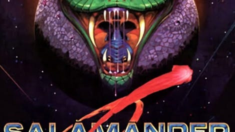 Salamander