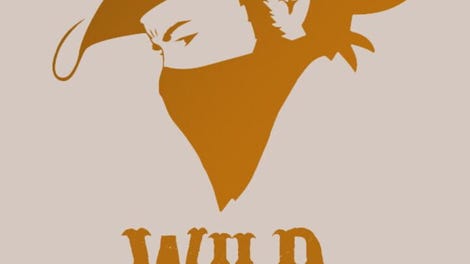 Wild Gunslinger