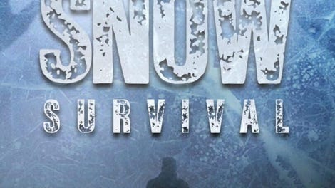 Snow Survival