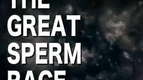 the great sperm race essay