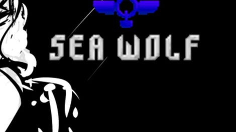 Operation Sea Wolf